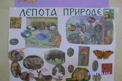BILD0424