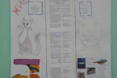 SAM_0937