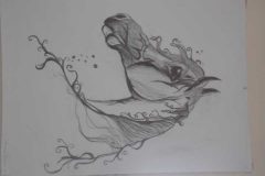 SAM_0940