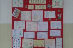 IMG_20160310_113517