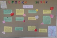 IMG_20181113_121037